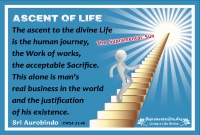 Ascent to the Divine Life.jpg